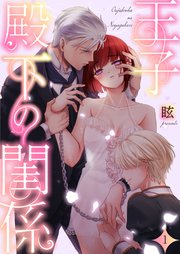 王子殿下の閨係