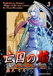 亡国の焔3巻