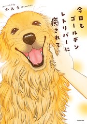 今日もゴールデンレトリバーに癒されて