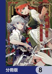 東方Project二次創作シリーズ　紅魔館の女たち【分冊版】　8