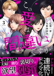 この愛は間違いですか～不倫の贖罪【電子限定単行本】 3巻