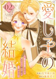 愛し子の結婚～偽装契約なのにエリート騎士様が甘すぎる～【電子単行本版／特典おまけ付き】