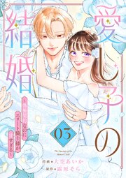 愛し子の結婚～偽装契約なのにエリート騎士様が甘すぎる～【電子単行本版／特典おまけ付き】 3巻