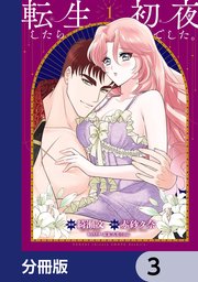 転生したら初夜でした。【分冊版】　3