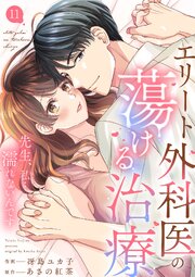 エリート外科医の蕩ける治療～先生、私…濡れないんです 11巻