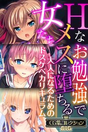 Hなお勉強でメスに堕ちる女たち ～大人になるためのドスケベカリキュラム～【CG集コレクションBIG】