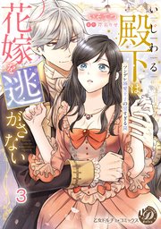 いじわる殿下は花嫁を逃がさない～ツンデレ溺愛王子の甘すぎる罠～ vol.1～3