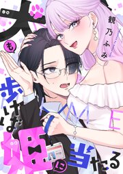 犬も歩けば姫に当たる 7巻