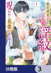 婚約破棄された色無しの私は、淫紋に呪われし英雄の色に染まる【分冊版】　3