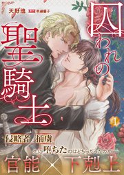 囚われの聖騎士