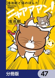 鴻池剛と猫のぽんた ニャアアアン！【分冊版】　47