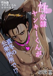 性奴隷ヤンキーくんシリーズ 2 性奴隷ヤンキーくんが真冬の公衆便所で！？