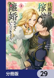 旦那様、稼いで離婚させていただきます！【分冊版】　29