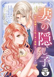 妻の隠し子～白い結婚をした私と妻と愛娘（時々、ぬいぐるみ）～　分冊版（３）