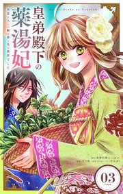 皇弟殿下の薬湯妃～初恋の人との駆け落ち先は後宮でした～【単話】 3