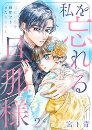 私を忘れる旦那様～七日の恋を何度でも、またあなたと（２）