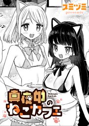 真夜中のねこカフェ