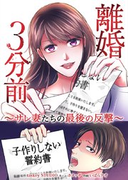 離婚３分前 ～サレ妻たちの最後の反撃～
