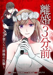 離婚３分前 ～サレ妻たちの最後の反撃～