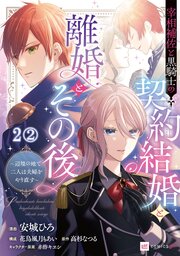 【単話版】宰相補佐と黒騎士の契約結婚と離婚とその後 ～辺境の地で二人は夫婦をやり直す～　第2話（2）