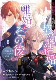 【単話版】宰相補佐と黒騎士の契約結婚と離婚とその後 ～辺境の地で二人は夫婦をやり直す～