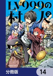LV999の村人【分冊版】　14