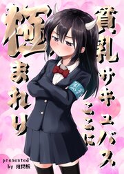 貧乳サキュバスここに極まれり【R-18版】