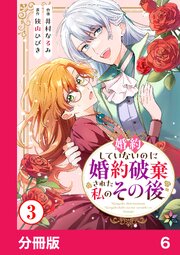婚約していないのに婚約破棄された私のその後【分冊版】6