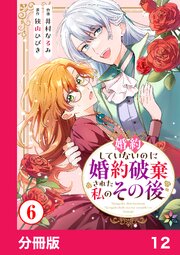 婚約していないのに婚約破棄された私のその後【分冊版】