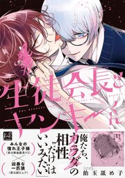 生徒会長とヤンキーくん【単行本版／電子限定描き下ろしマンガ＆シーモア限定特典付】
