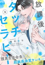 放課後タッチセラピー 3巻