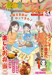 ときめきごはん（55）　ウキウキ♪から揚げ弁当