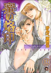 凍る灼熱（分冊版） 【第12話】