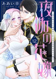 夜伽の花嫁～恋を知らない暗殺者王女は氷の皇帝の手中で踊る～（12）