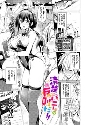 清楚×バニーは反則だ！！