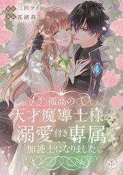 孤高の天才魔導士様の溺愛付き専属加護士になりました【マイクロ】