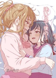 逢い見て後の…【R-18版】