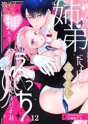 姉弟だけど義理だし挿れなければえっちじゃないよね【単話版】