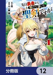 先日勇者から助けて頂いた聖剣ですが【分冊版】　12