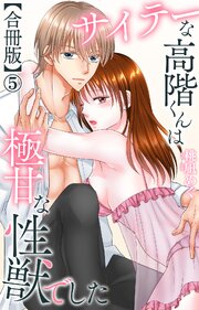サイテーな高階くんは極甘な性獣でした【合冊版】