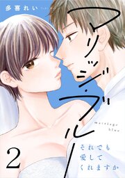マリッジ・ブルー～それでも愛してくれますか～2巻