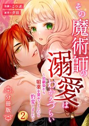 その魔術師の溺愛はわかりづらい【分冊版】