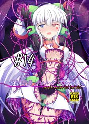 駆錬輝晶 クォルタ アメテュス 14【R-18版】