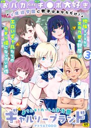 「全員おバカだけどみんなチ●ポ大好き」ど底辺学園に男子はあなただけ！ハーレム文化祭ギャルソープランド（3）