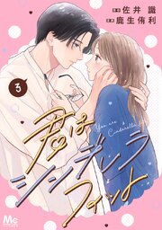 君はシンデレラフィット 単行本版 3【シーモア限定特典付き】