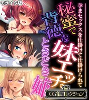 秘蜜で背徳な妹エッチ。ときどき姉 ～孕まセックスを仕掛けて仕掛けられて～【CG集コレクション】 モザイク版
