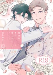 初夜はもう待てない【R18電子単行本】