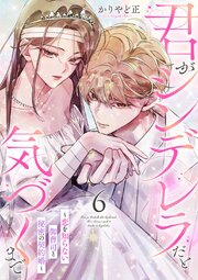 君がシンデレラだと気づくまで～恋を知らない御曹司と秘密の契約婚～
