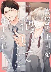 高嶺の上司を抱いてしまった部下の話