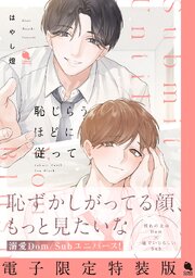 恥じらうほどに従って 【特典描き下ろし小冊子のみ】